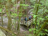 260418_Bluetenwanderung01_ (31)