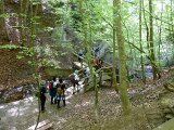 260418_Bluetenwanderung01_ (32)