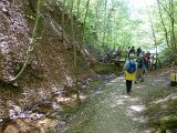 260418_Bluetenwanderung01_ (33)