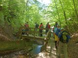 260418_Bluetenwanderung01_ (34)