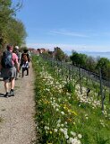 260418_Bluetenwanderung01_ (44)