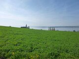 260418_Bluetenwanderung01_ (6)