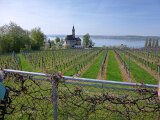 260418_Bluetenwanderung01_ (8)