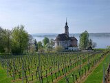 260418_Bluetenwanderung01_ (9)