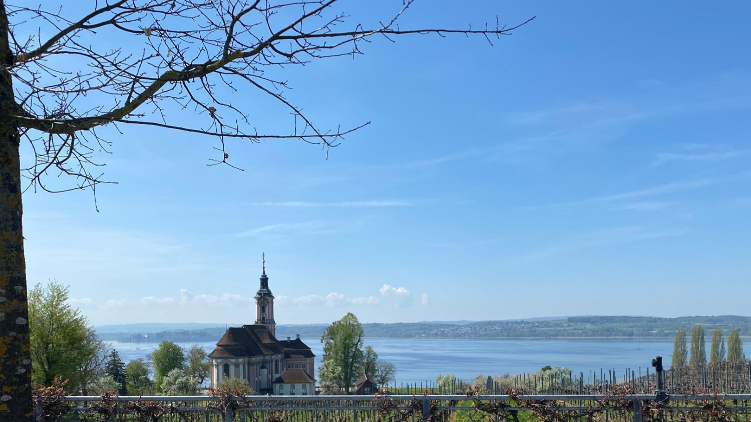 260418_Bluetenwanderung02_  (02).jpeg