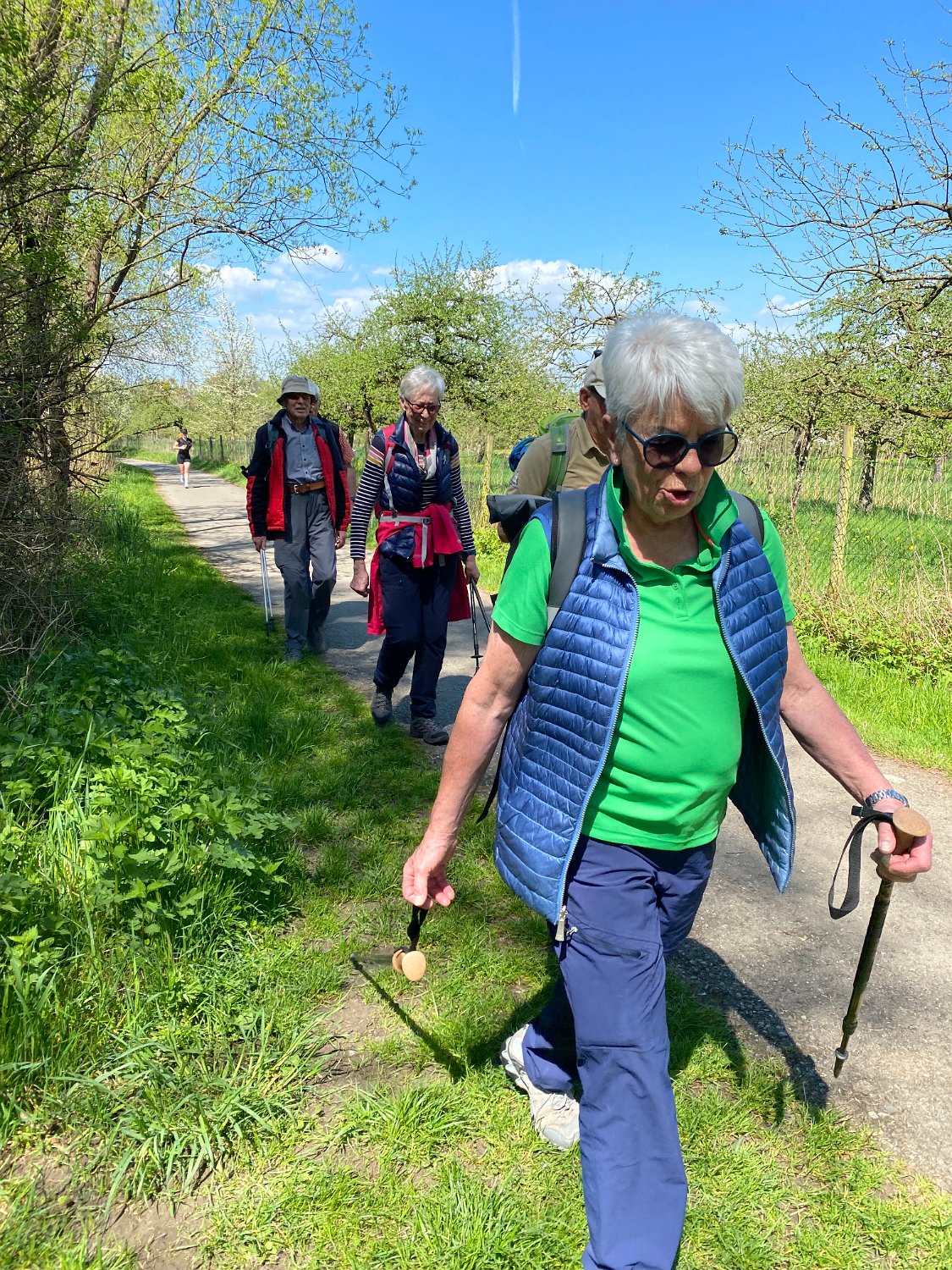 260418_Bluetenwanderung02_  (13).jpeg