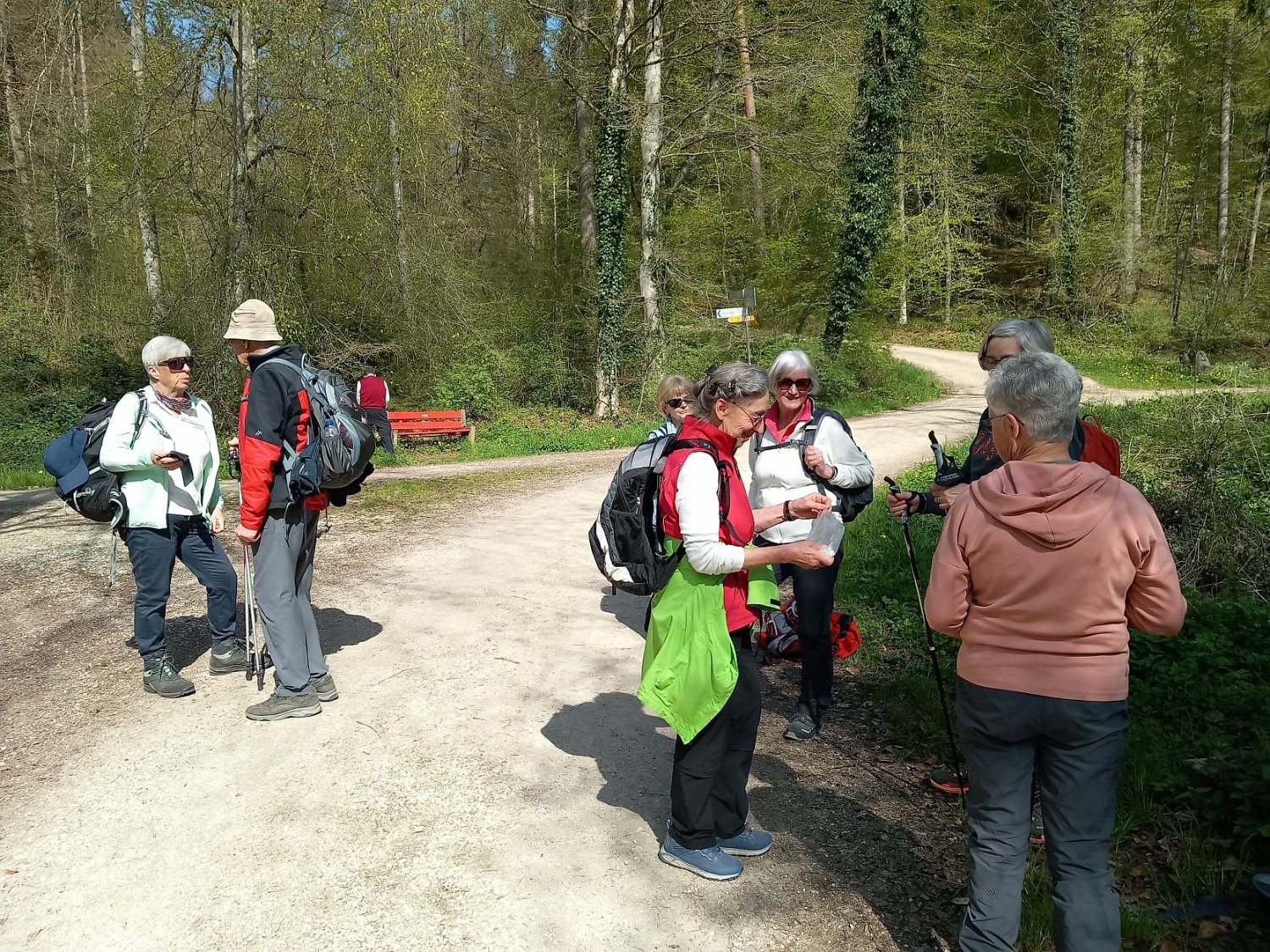 260418_Bluetenwanderung02_  (16).jpeg
