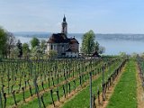 260418_Bluetenwanderung02_  (03)