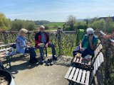 260418_Bluetenwanderung02_  (04)