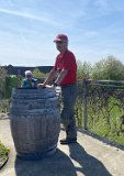 260418_Bluetenwanderung02_  (08)