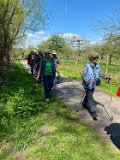 260418_Bluetenwanderung02_  (12)
