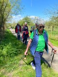 260418_Bluetenwanderung02_  (13)