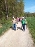 260418_Bluetenwanderung02_  (15)