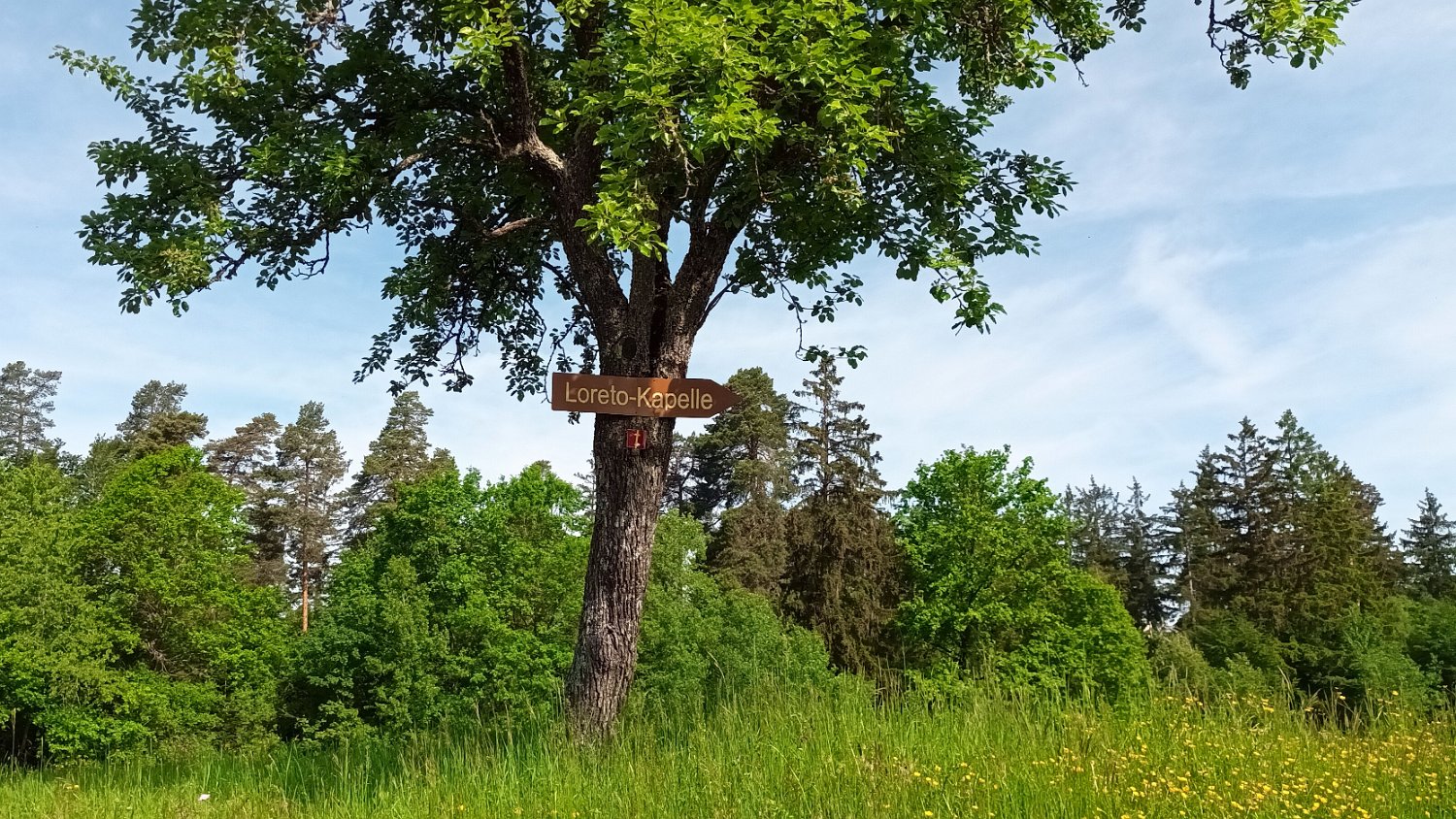 260510Binsdorf_ (07).jpg