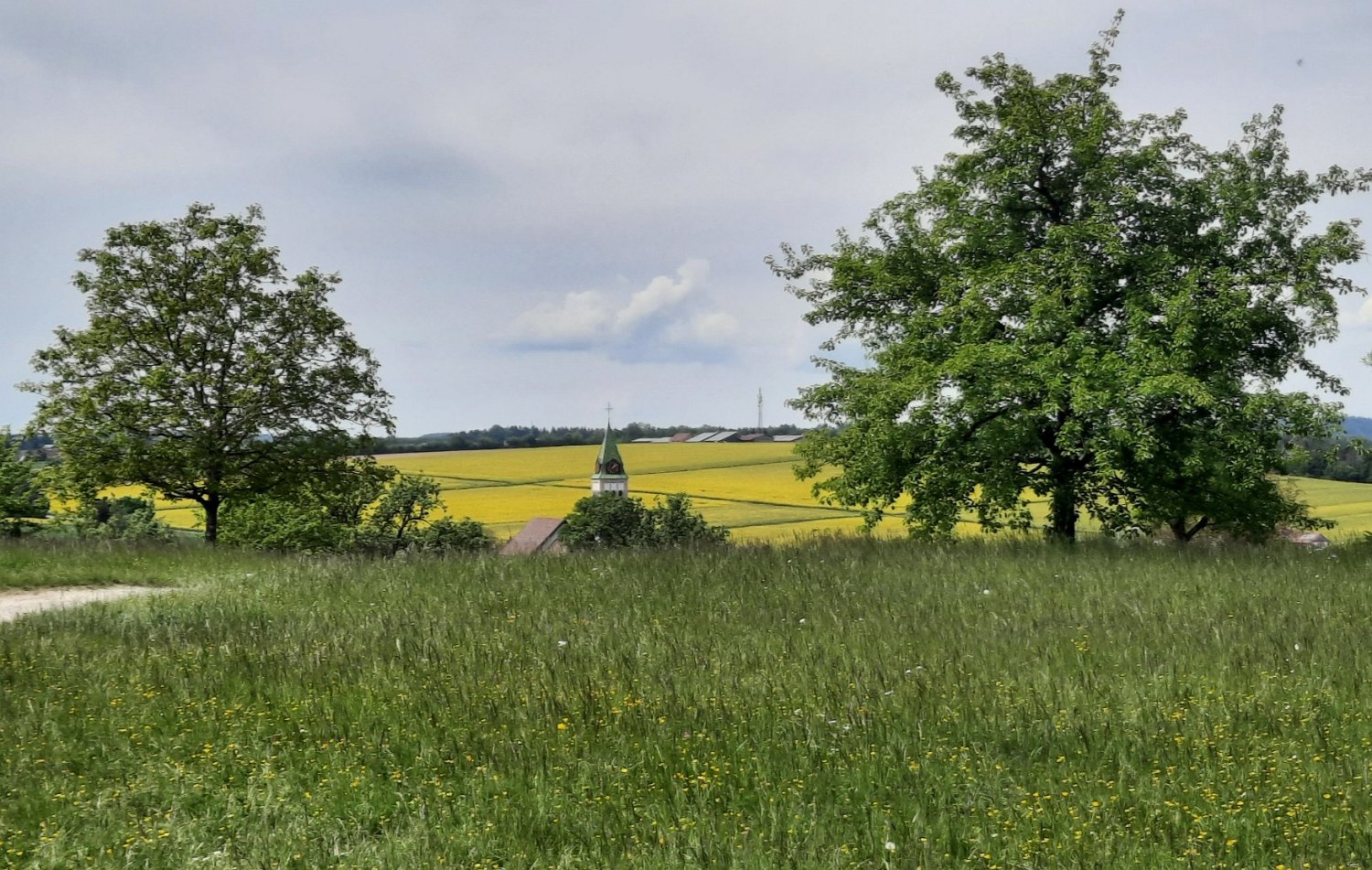 260510Binsdorf_ (26).jpg