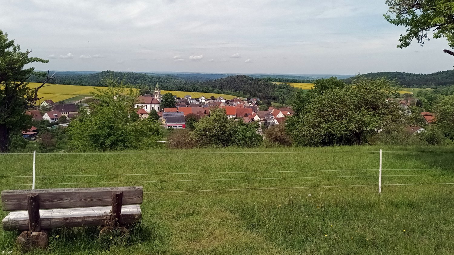 260510Binsdorf_ (32).jpg