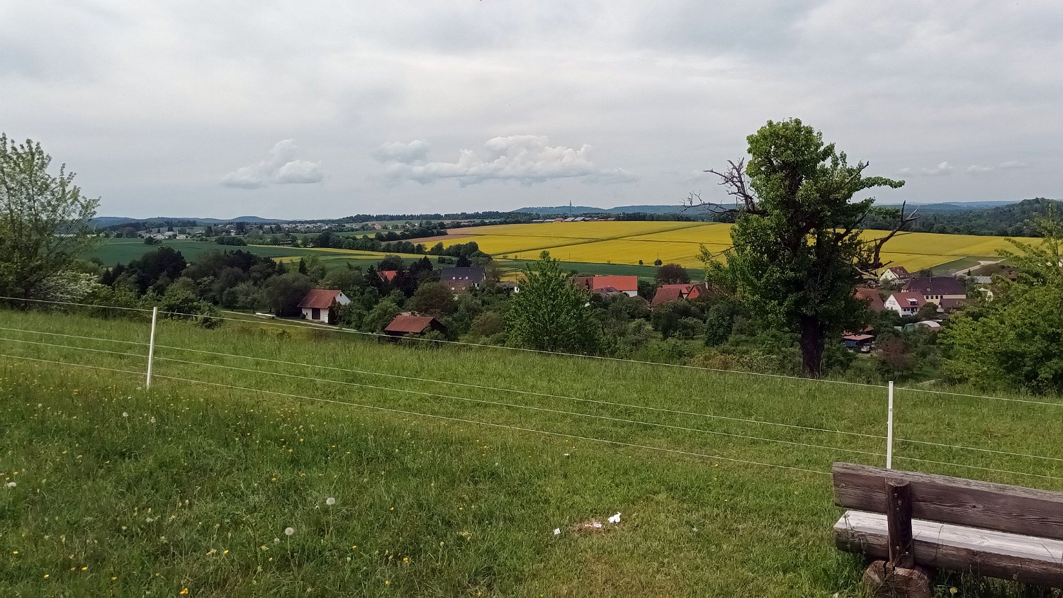 260510Binsdorf_ (33).jpg