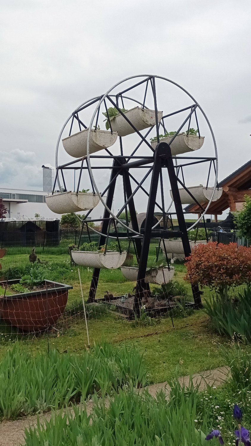 260510Binsdorf_ (37).jpg