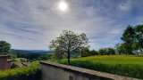 260510Binsdorf_ (04)