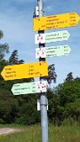 260510Binsdorf_ (06)
