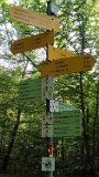 260510Binsdorf_ (09)