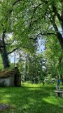 260510Binsdorf_ (16)