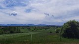 260510Binsdorf_ (23)