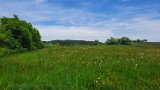260510Binsdorf_ (25)
