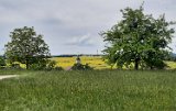 260510Binsdorf_ (26)