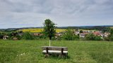 260510Binsdorf_ (27)