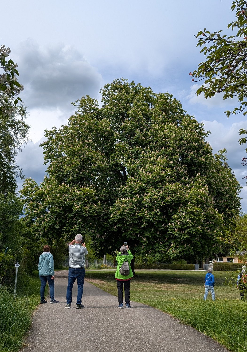 260519_Sen_Moerikeweg_59.jpg