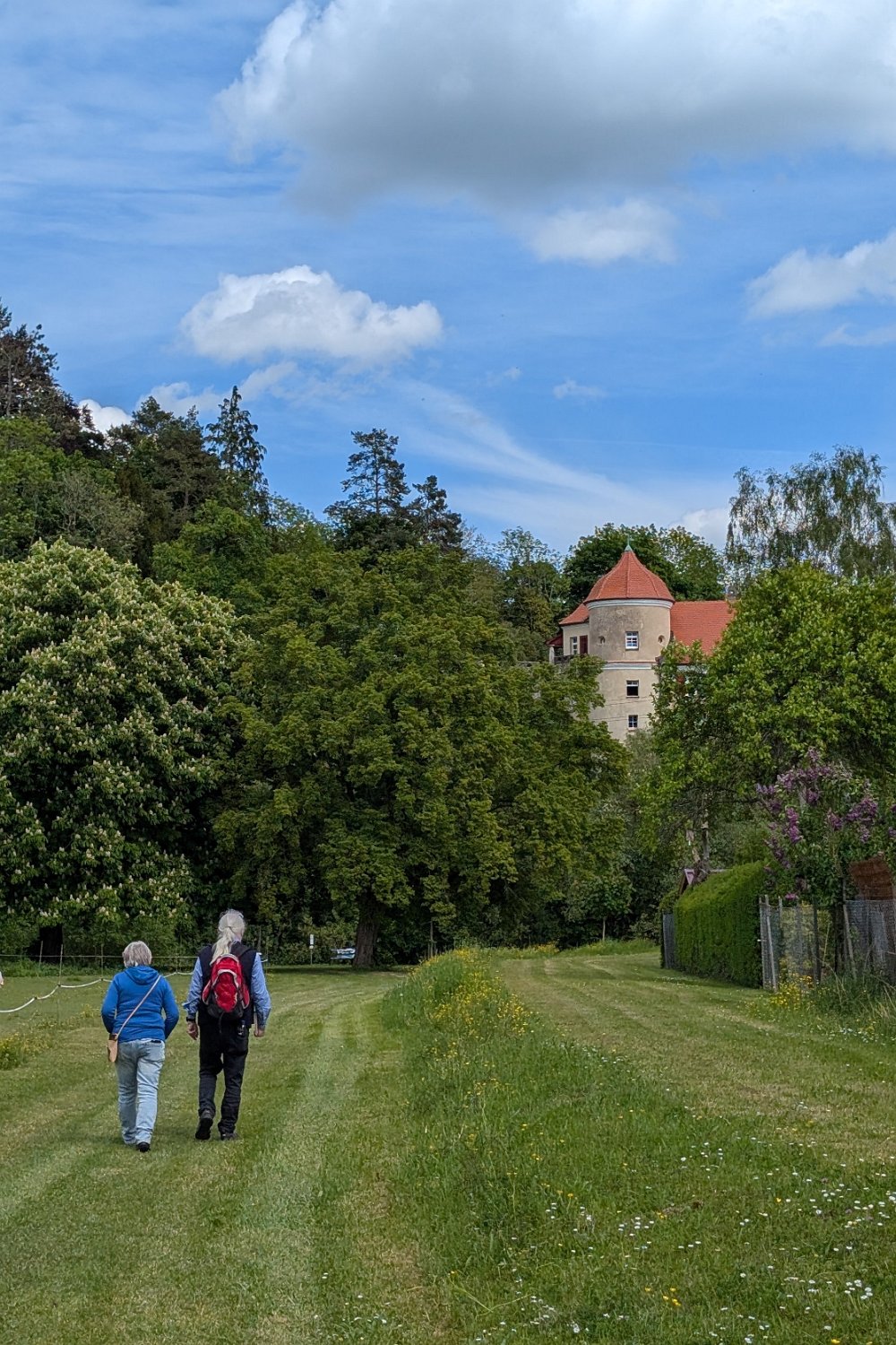 260519_Sen_Moerikeweg_61.jpg - Schloss Bartelstein auf der linken Donauseite -