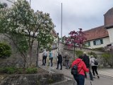 260519_Sen_Moerikeweg_19
