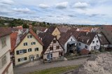 260519_Sen_Moerikeweg_23