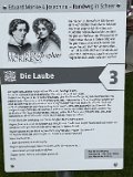 260519_Sen_Moerikeweg_40c