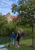 260519_Sen_Moerikeweg_64