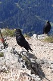260815_Bergtour068