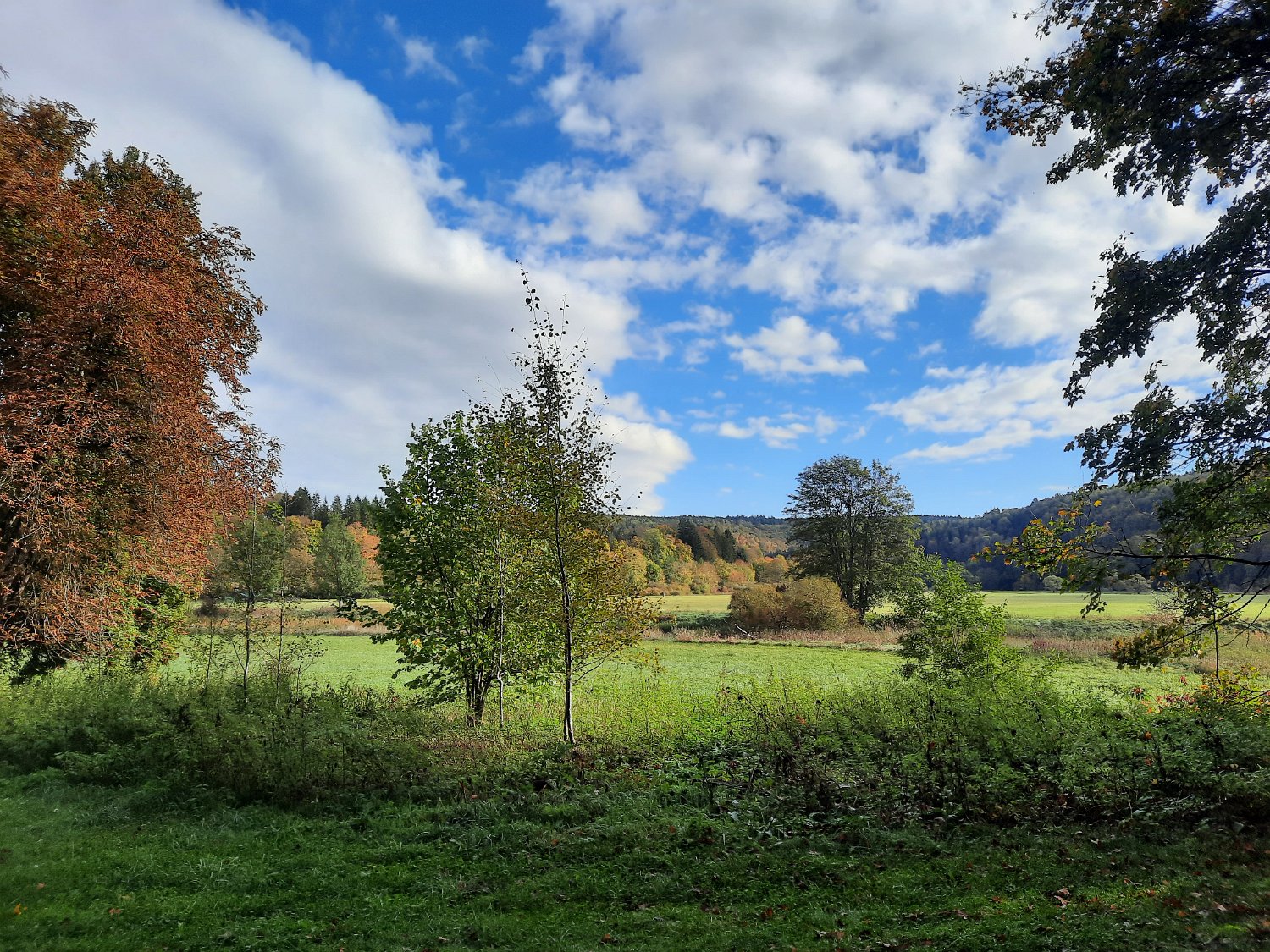 291011-donauversinkung_hoewenegg_09.jpg
