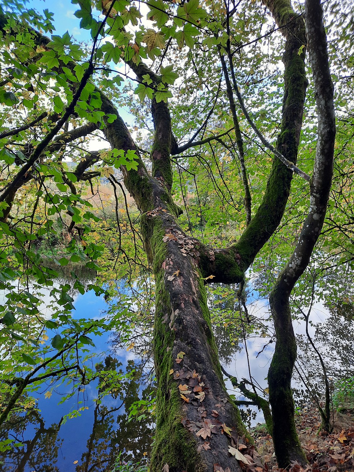 291011-donauversinkung_hoewenegg_11.jpg