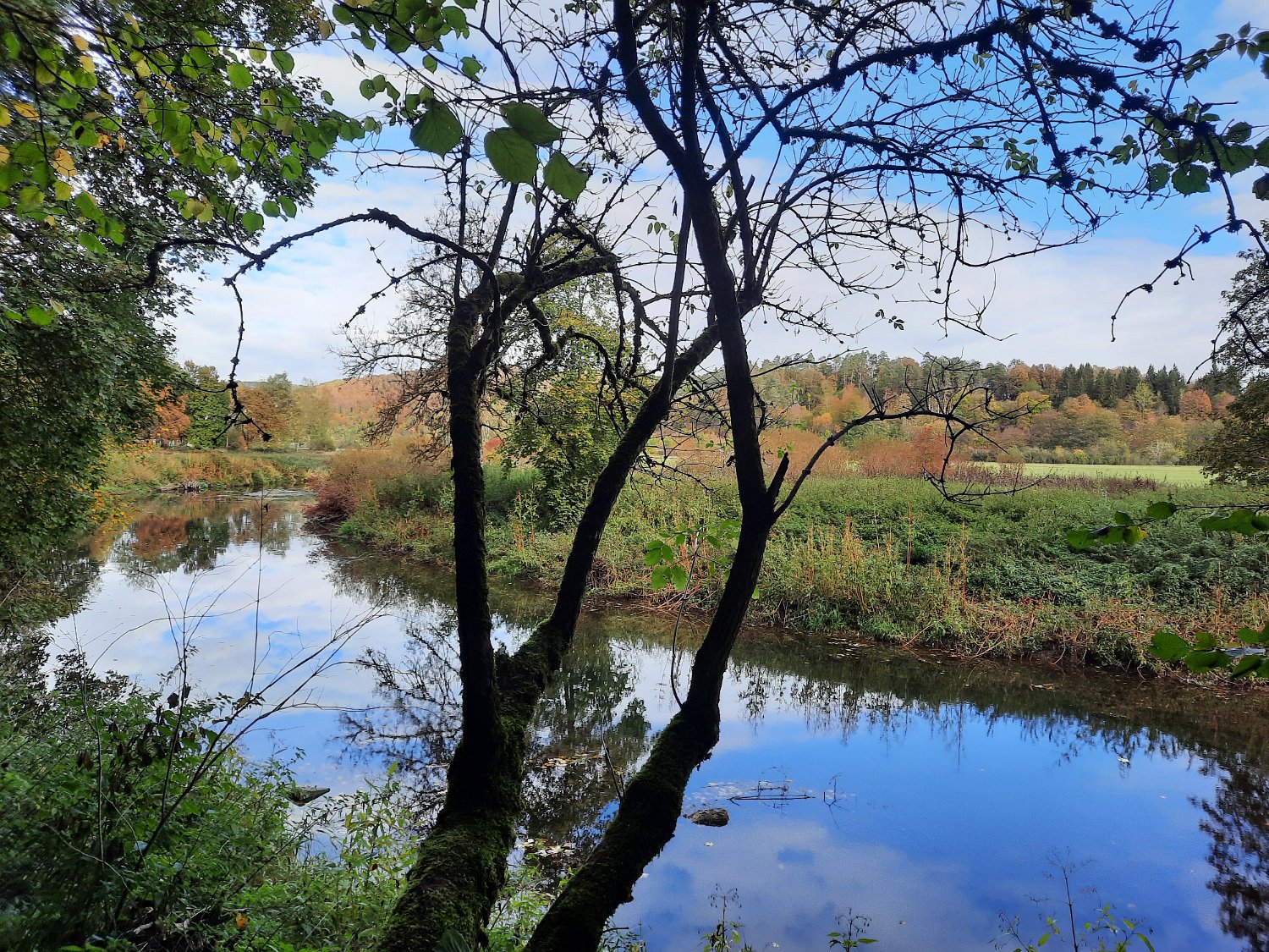 291011-donauversinkung_hoewenegg_14.jpg