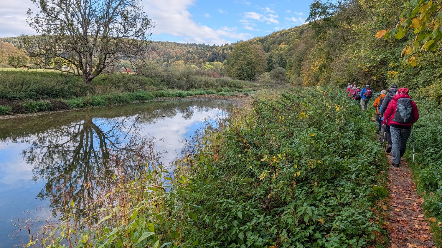 291011-donauversinkung_hoewenegg_17.jpg