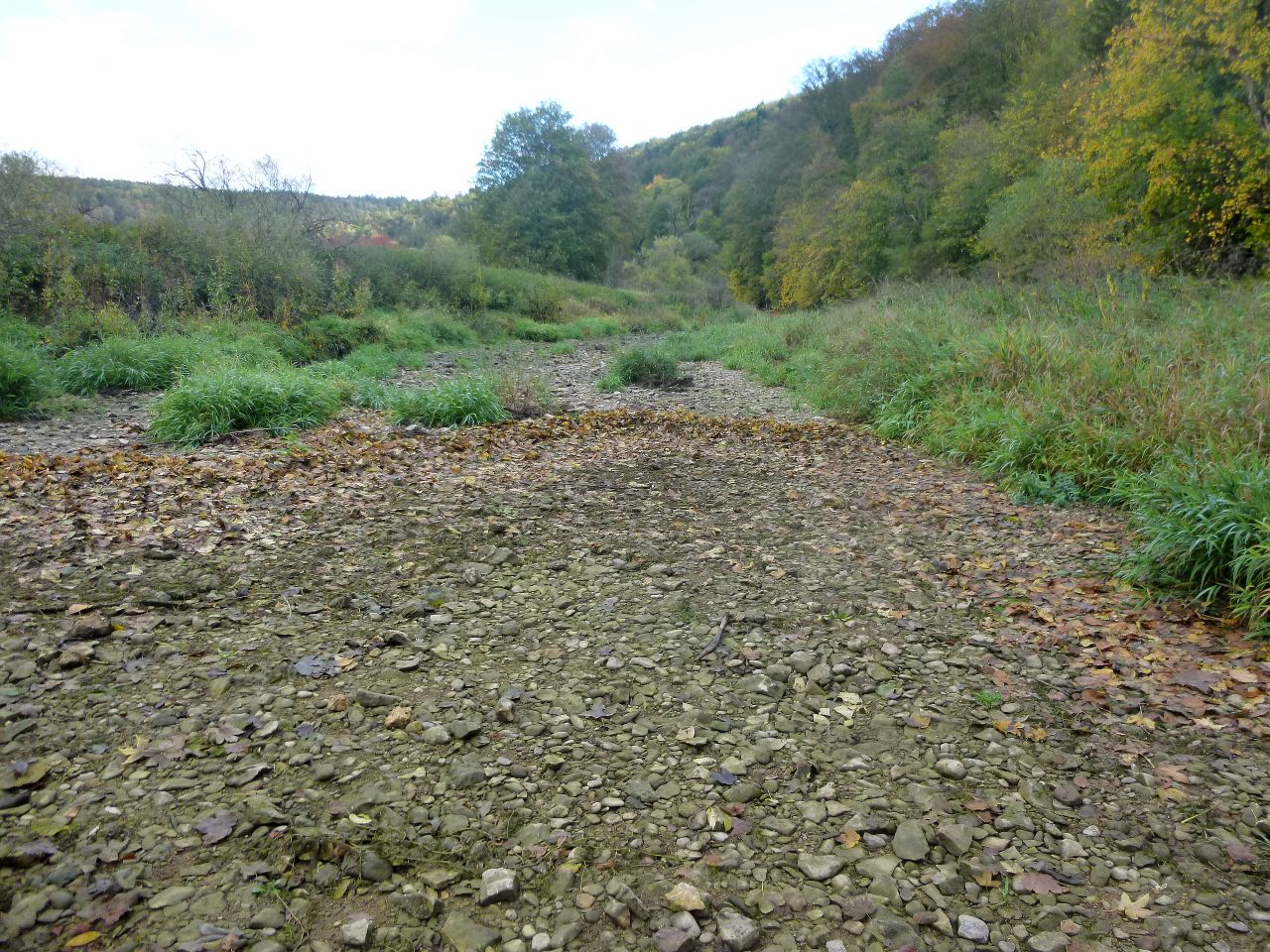 291011-donauversinkung_hoewenegg_25.jpg