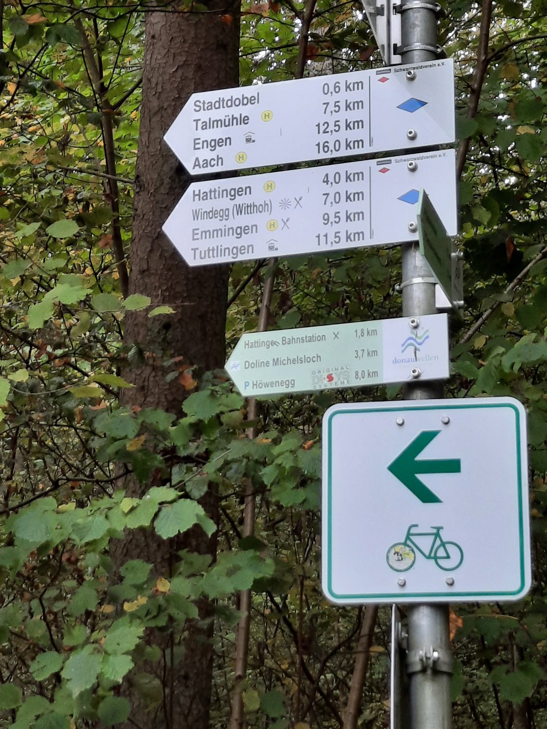 291011-donauversinkung_hoewenegg_31.jpg
