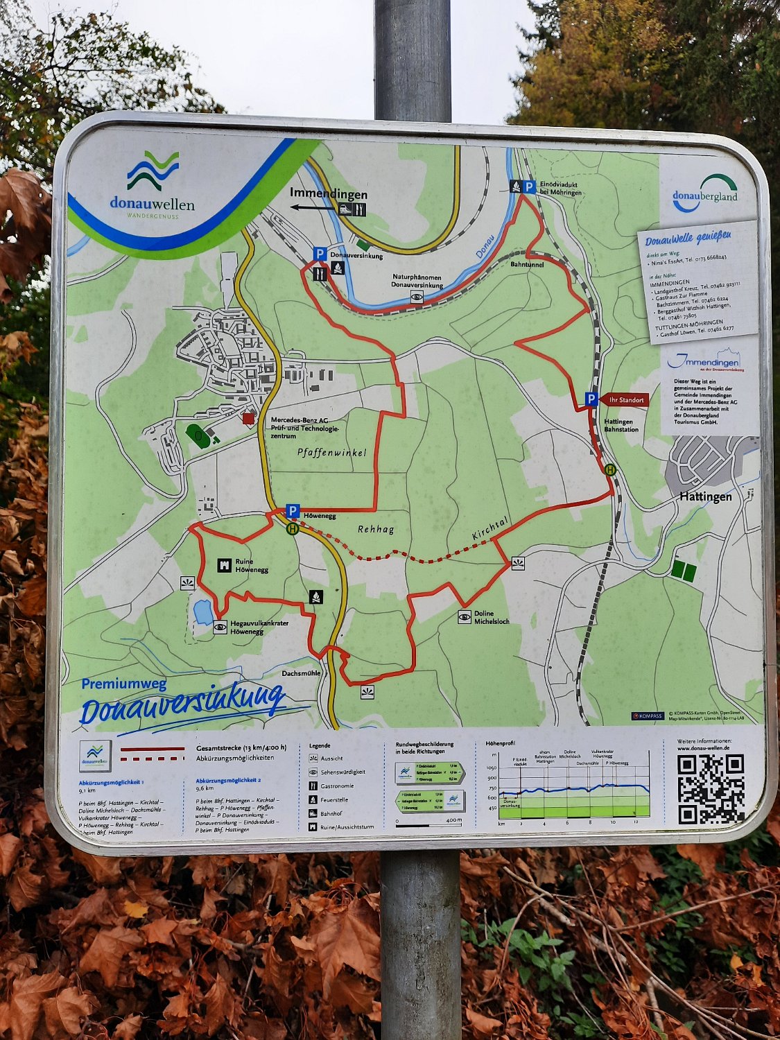 291011-donauversinkung_hoewenegg_32.jpg