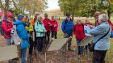 291011-donauversinkung_hoewenegg_05