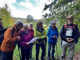 291011-donauversinkung_hoewenegg_08
