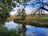 291011-donauversinkung_hoewenegg_13