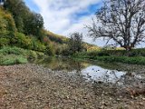 291011-donauversinkung_hoewenegg_24