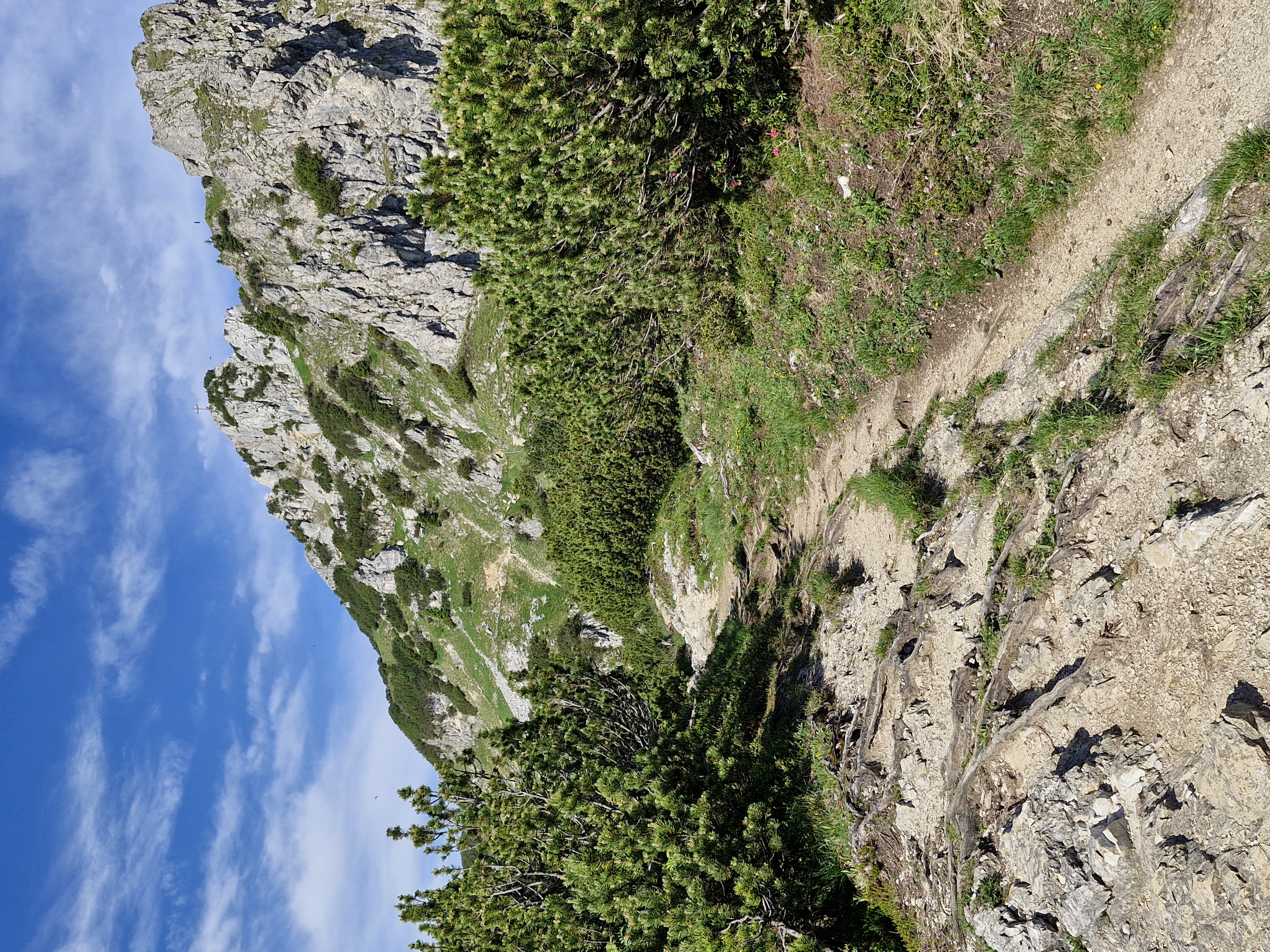 Bergwanderung 2026_ Vortour (3).jpg
