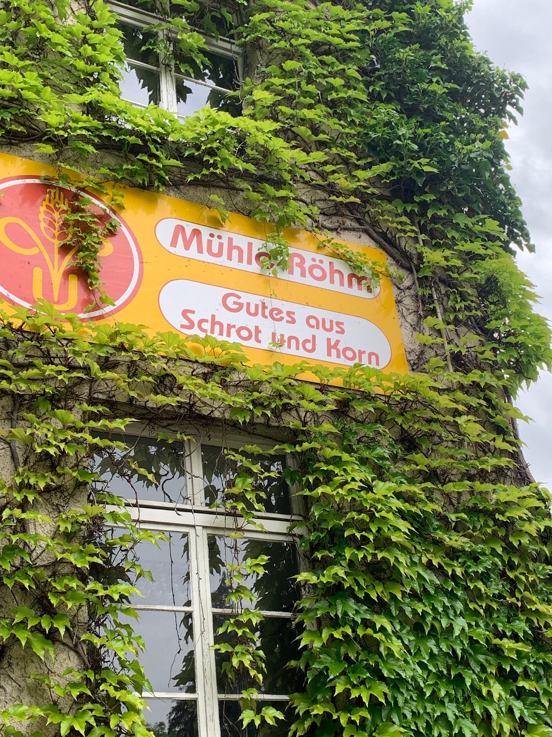 250525Uhingen_HV_Hauptverein (12).JPG